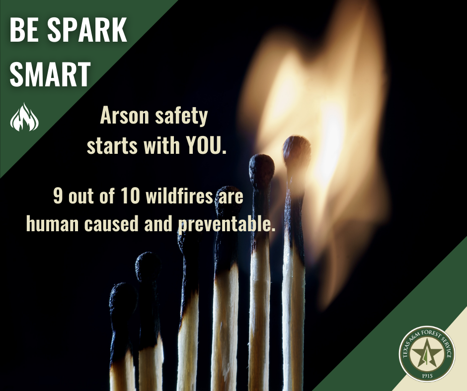 Wildfire Prevention Resources_Arson